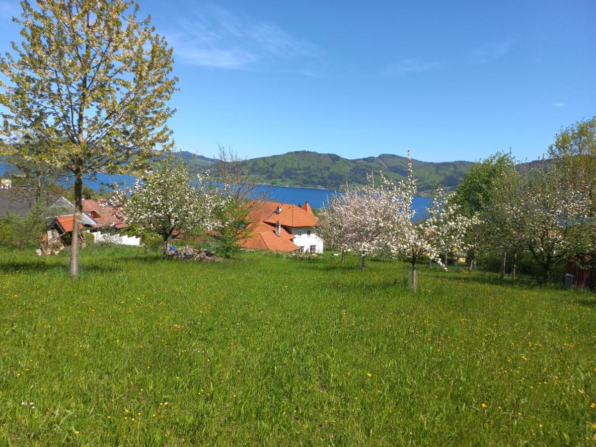 Attersee Gartenvilla Nussdorf am Attersee Ngoại thất bức ảnh